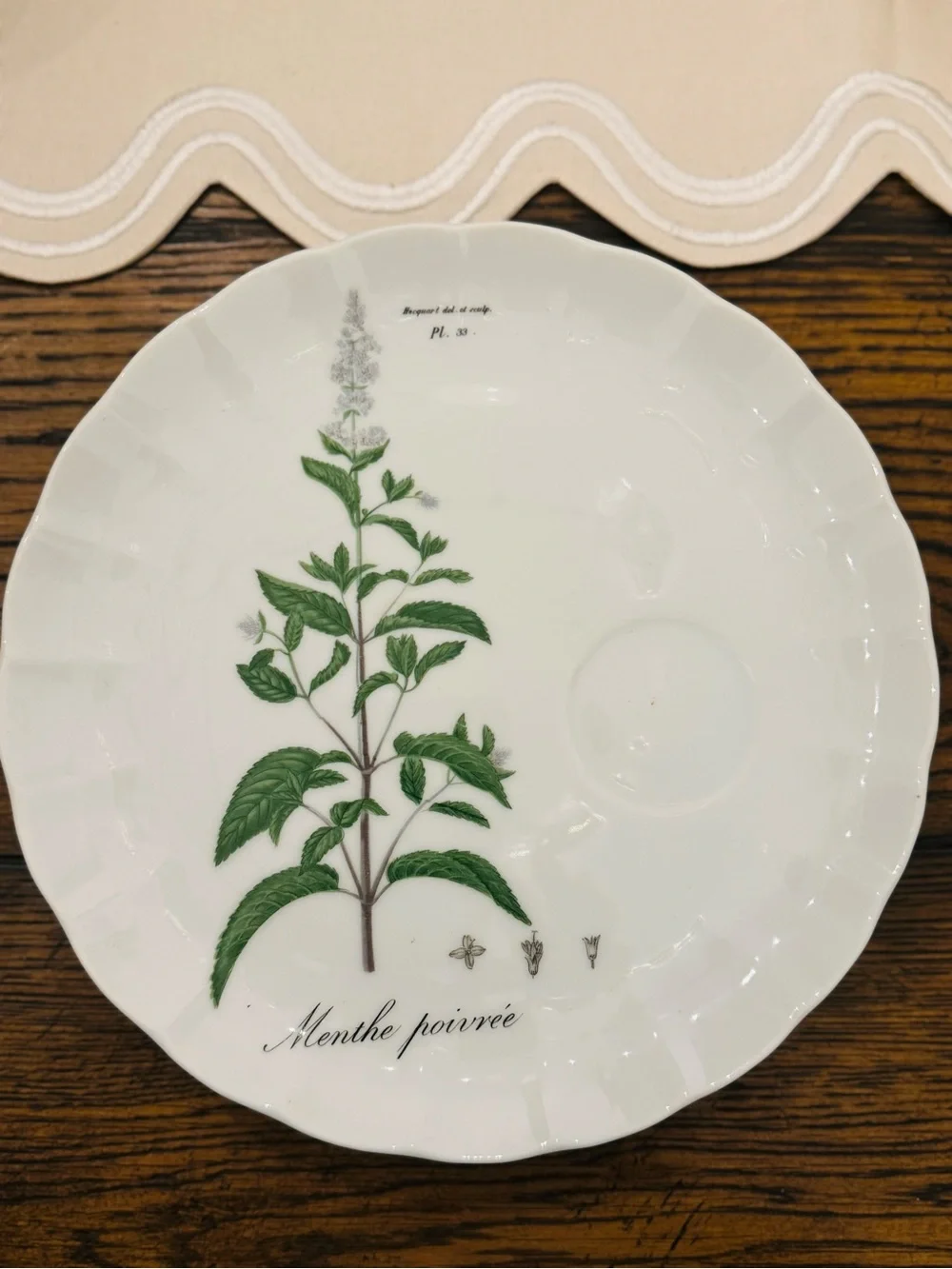 TASTE SETTER COLLECTION® Botanical Green and Pink  Scallop plates  Set - 4